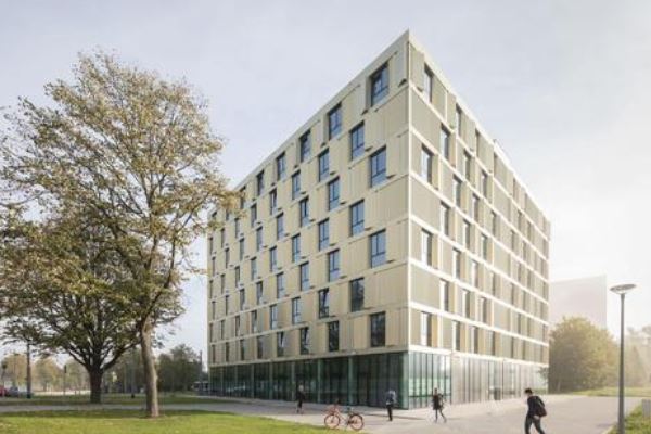 世界管理学排名前十的大学，哈佛大学排第一名 第13张