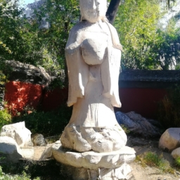 姓氏的由来 孙(孙姓的由来与历史) 第1张
