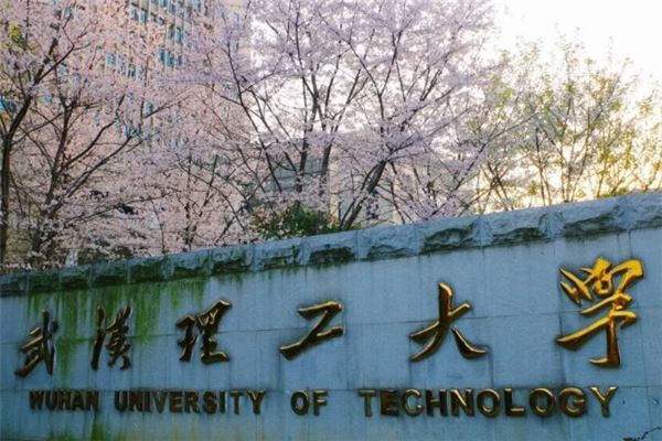 湖北十大名校大学，湖北知名大学排行榜 第5张