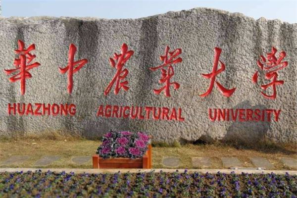 湖北十大名校大学，湖北知名大学排行榜 第13张