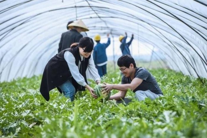 华中农业大学十大王牌专业，园艺专业排第一位 第7张