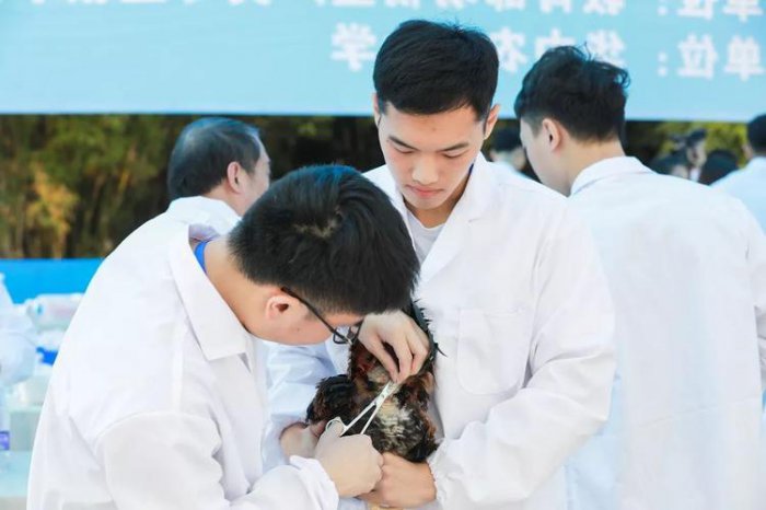 西南大学十大王牌专业排行榜，教育学专业位列第一 第7张