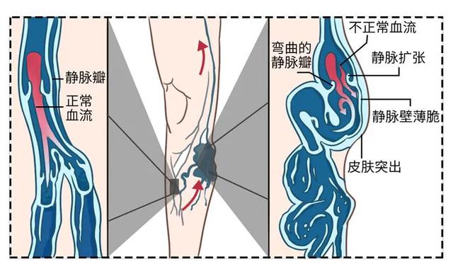 女人怎么保养不容易老（女性防止皮肤衰老的秘诀） 第39张