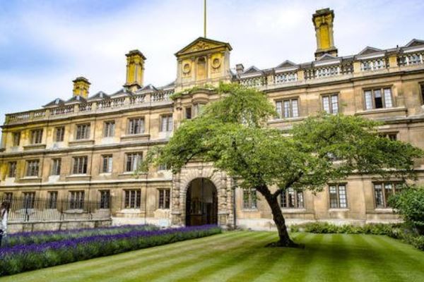 世界哲学排名前十的大学：哈佛仅第五，纽约大学排第一 第7张