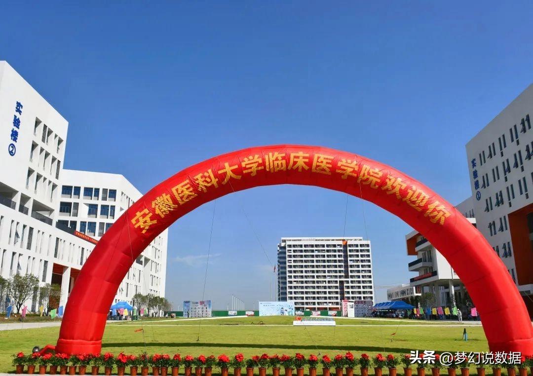安徽大学排名前十名（安徽省内有名的10所大学） 第11张