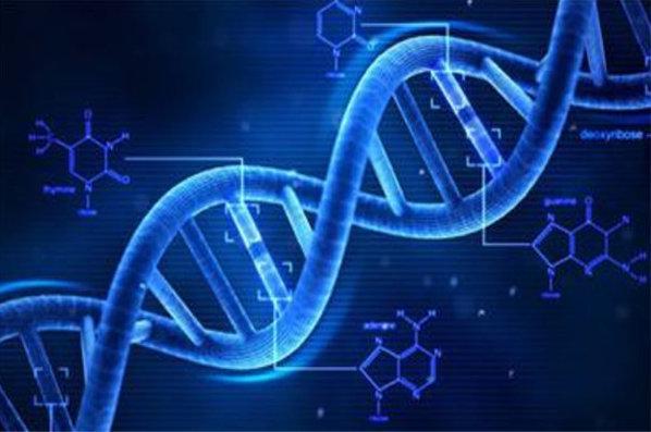 东南大学4大王牌专业：建筑学一枝独秀！ 第5张