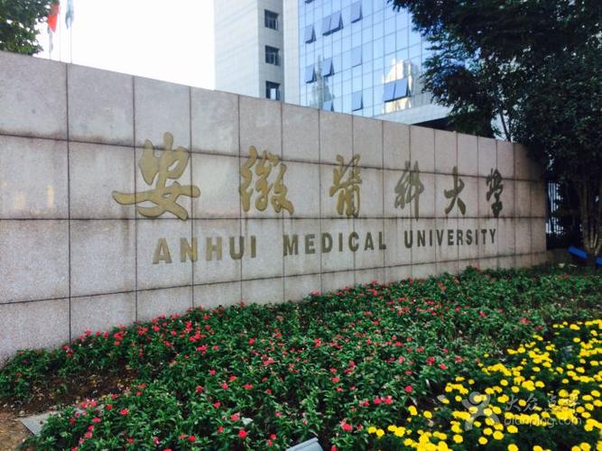 安徽最牛的十所大学排名，中国科学技术大学夺冠 第15张
