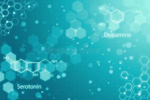 厦门大学5大王牌专业：经济学、管理类名列榜首 第5张
