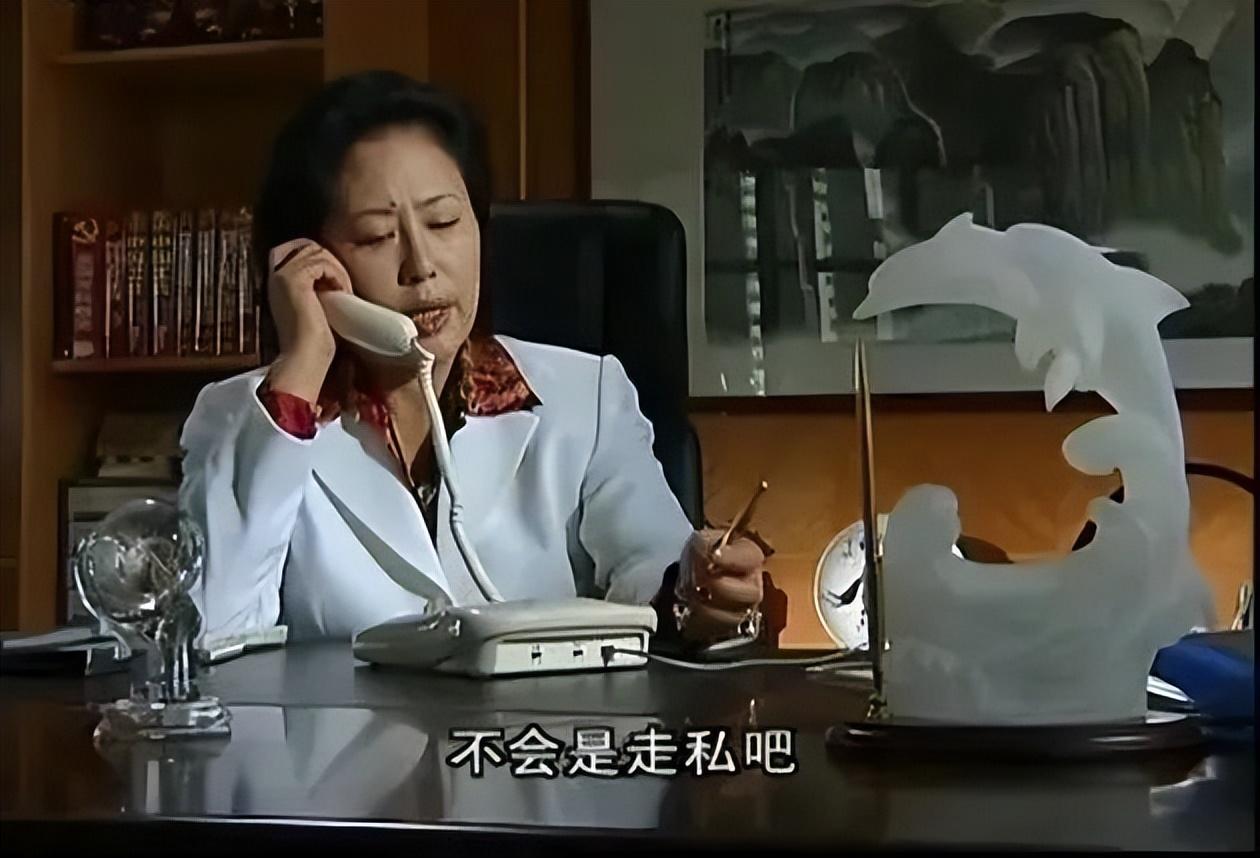 比人民的名义更好看的电视剧（拍得太真实的10部反腐剧） 第15张