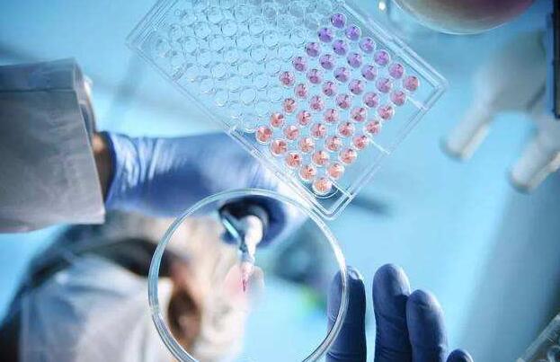 上海交通大学10大王牌专业，船舶与海洋工程位居第一 第1张
