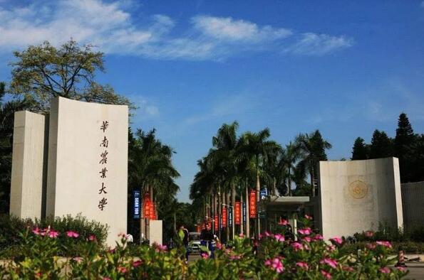 广东十大名牌大学排名，广东省十大大学排行榜 第11张