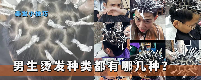 烫头发男生有哪些类型（男生烫头发的种类） 第1张