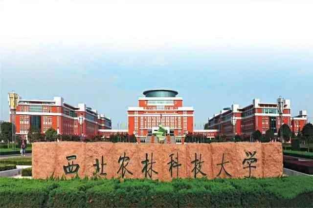 最容易捡漏的985大学排行榜，中国农业大学位列榜首 第13张