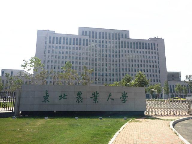 最适合文科生捡漏的211大学，文科分数较低的211大学 第5张