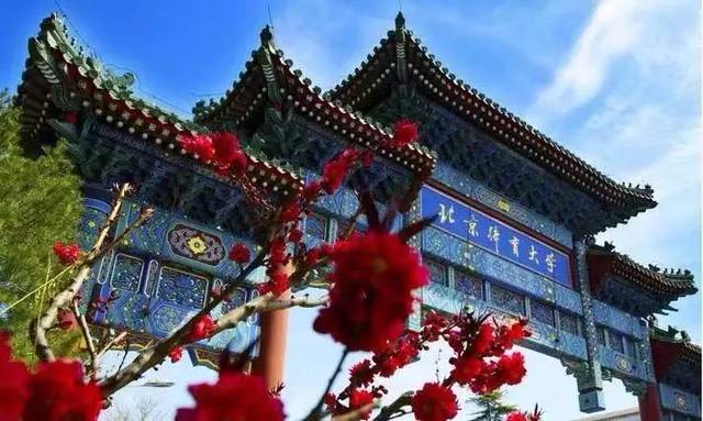 最适合文科生捡漏的211大学，文科分数较低的211大学 第15张