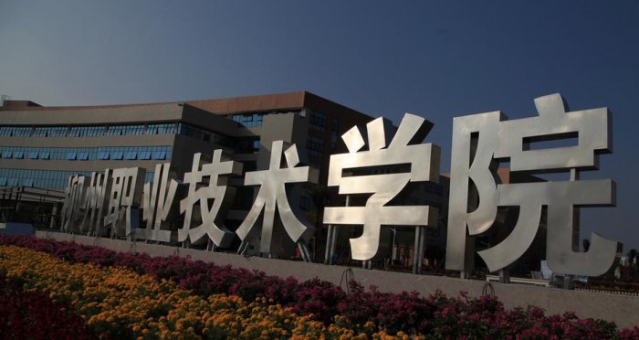 2022年广西十大专科学校排行榜，南宁职业技术学院居榜首 第3张