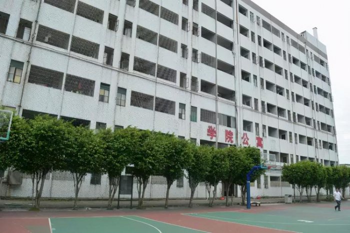 2022广东十大专科学校排行，广东最好的大专院校 第19张