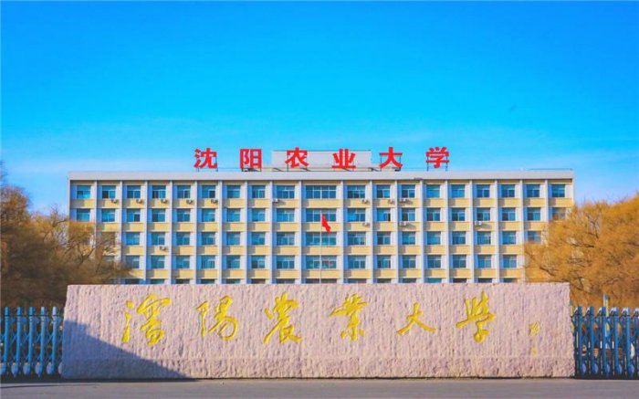 沈阳重点大学有哪些？沈阳十大有名大学排名 第9张