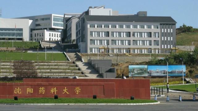 沈阳重点大学有哪些？沈阳十大有名大学排名 第11张