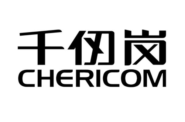 中国十大轻薄羽绒服品牌：雅鹿居第二，波司登夺冠 第17张