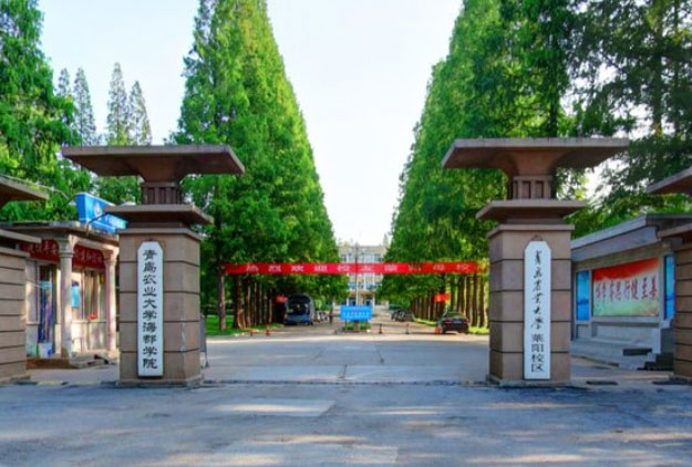 山东烟台的大学有哪几所？烟台大学排名一览表 第5张