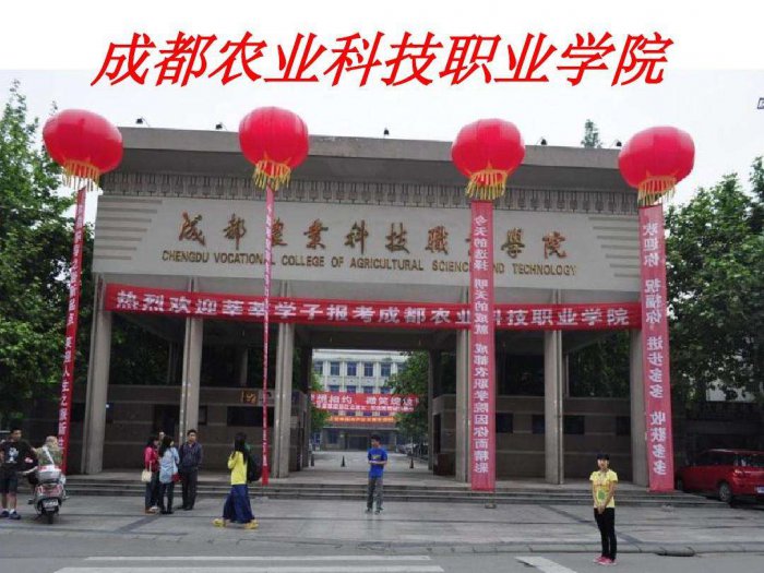 成都公办专科学校有哪些学校？成都公办专科学校排名前十 第19张