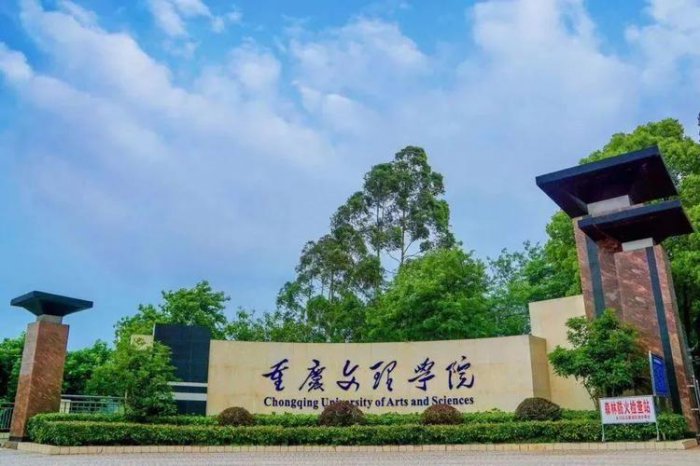 重庆市二本大学有哪些？重庆公办二本大学排名前十 第13张