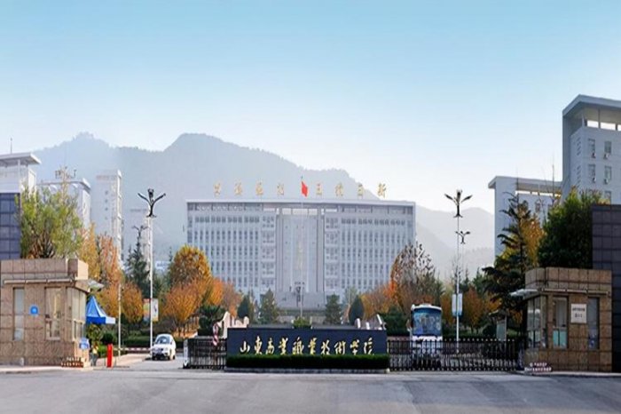 山东排名靠前的专科学校，山东值得上的专科学校排行榜 第1张