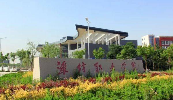 山东排名靠前的专科学校，山东值得上的专科学校排行榜 第3张