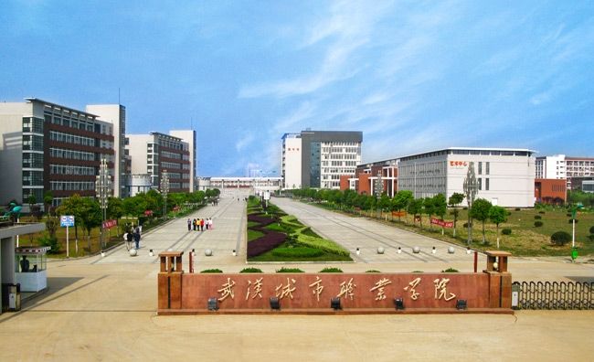 2022年湖北最好的十大专科院校，湖北工程职业学院排第一 第3张