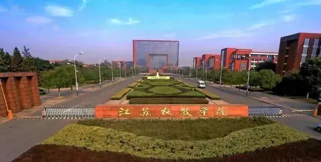 江苏专科学校排名前十公办，江苏十大公办高职院校 第15张