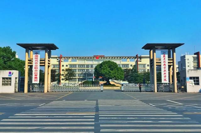 江苏专科学校排名前十公办，江苏十大公办高职院校 第19张