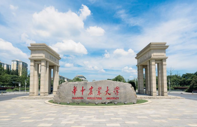 湖北十大最美大学排行榜，武汉大学雄踞榜首 第3张