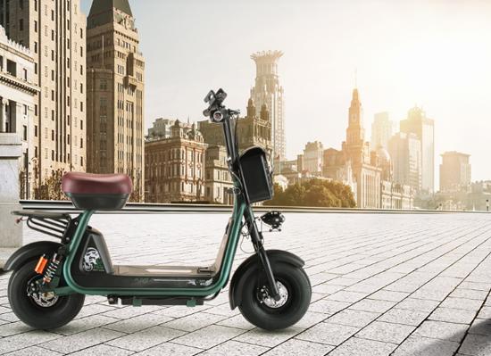 电动自行车什么牌子质量好？中国十大电动自行车品牌 第17张
