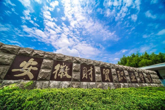 安徽十大财经类大学排行榜，安徽金融类大学排名 第9张