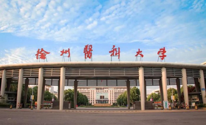 江苏省医科类大学有哪些？江苏省医学类大学全部排名 第7张