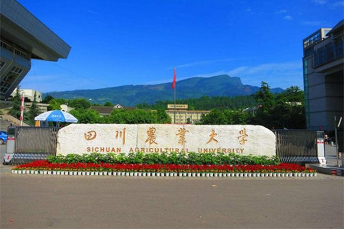 四川综合实力最强的十大高校，第一名是四川大学 第11张
