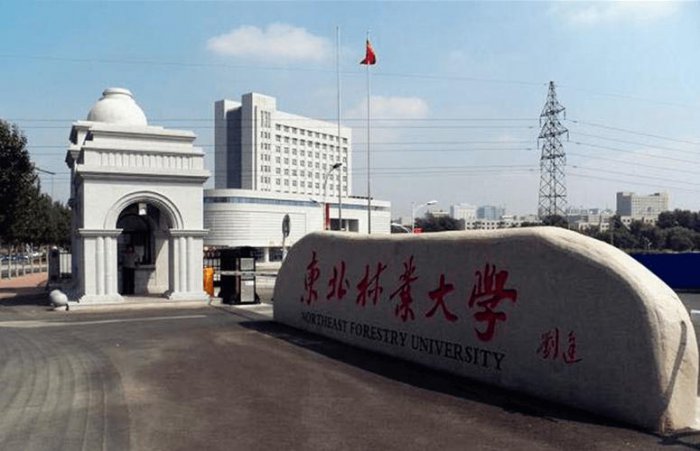 十大最容易捡漏的211大学，河北工业大学上榜 第5张