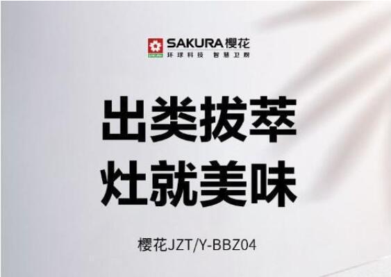 燃气灶十大品牌排名，中国十大灶具品牌排行榜 第7张