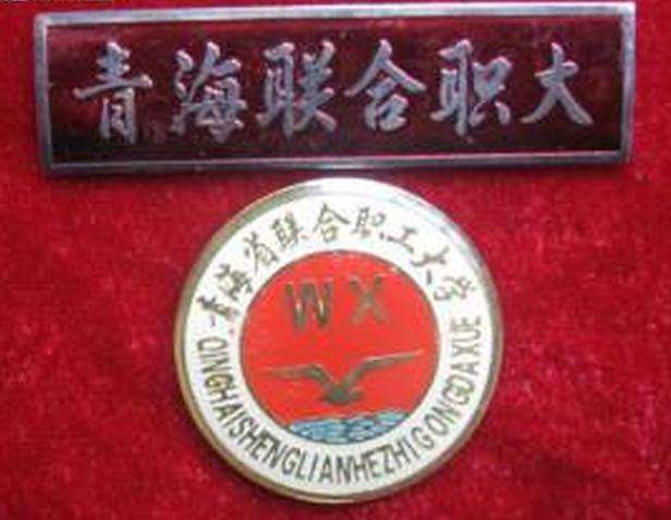 青海省大学排名2022最新排名，青海大学排第一名 第15张