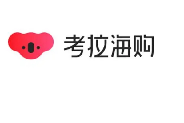 十大跨境电商平台排名：考拉海购排末尾，天猫夺冠 第19张