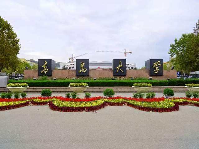 山东省大学排名2022最新排名，山东大学稳居第一名 第11张