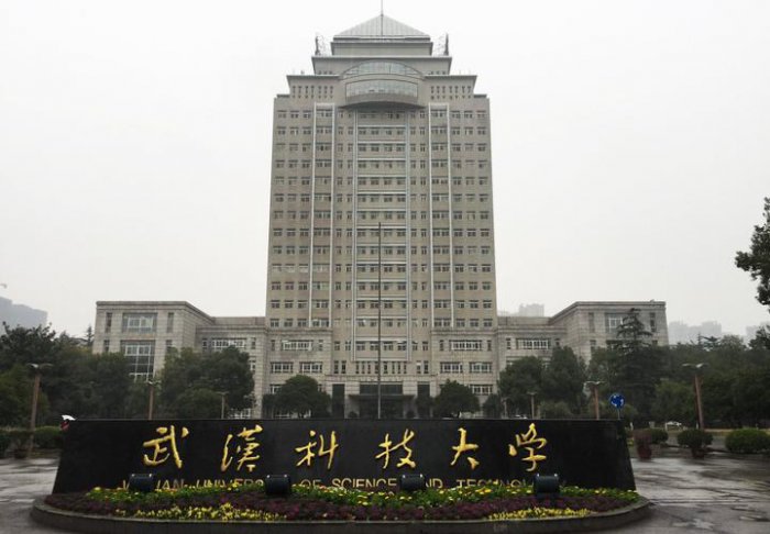 湖北省大学排名2022最新排名，武汉大学名列榜首 第17张