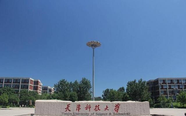 天津市大学排名2022最新排名，南开大学屈居第二名 第15张