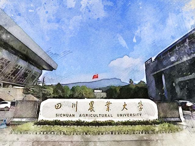 四川省大学排名2022最新排名，第一名是四川大学 第9张