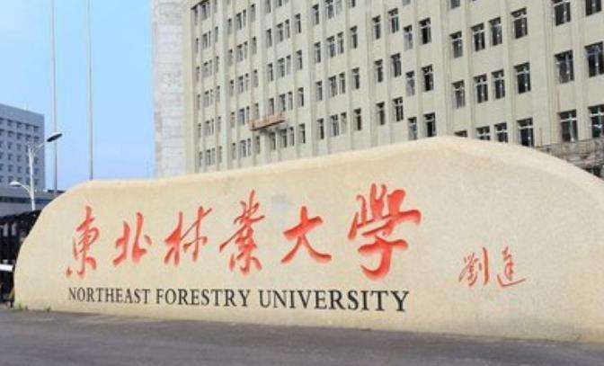 中国面积最大的十所大学：台大面积最大居榜首 第3张