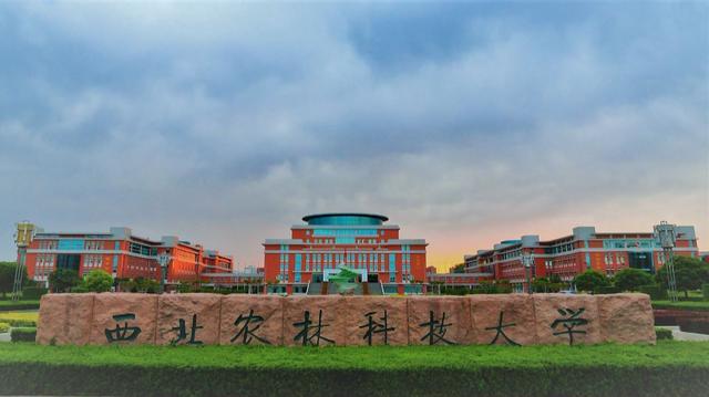 中国面积最大的十所大学：台大面积最大居榜首 第7张