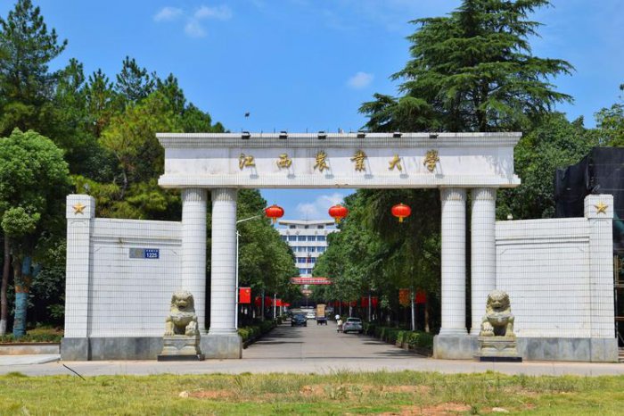 中国面积最大的十所大学：台大面积最大居榜首 第15张