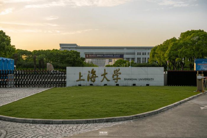 上海市大学排名2022最新排名，复旦大学高居第一名 第13张