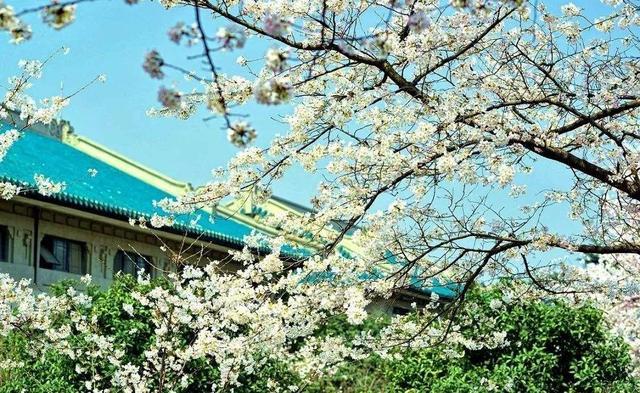 全国电影学专业十大名校，中国电影专业大学排名 第17张